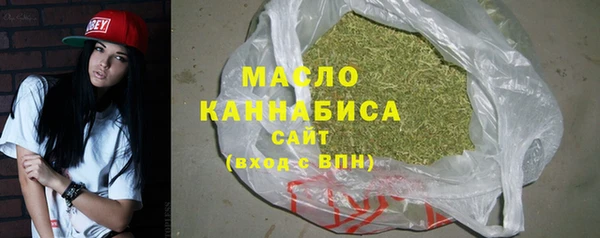 гашик Каменка