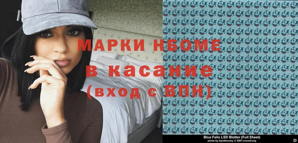 гашик Каменка