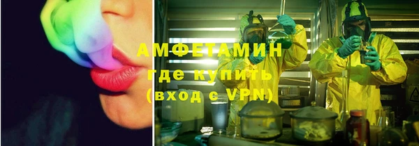 гашик Каменка