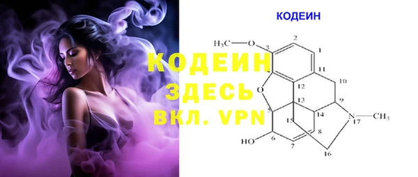гашик Каменка