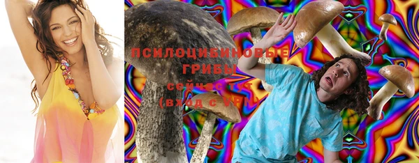 ALPHA PVP Каменск-Шахтинский