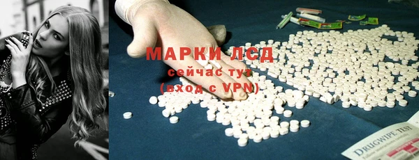 гашик Каменка