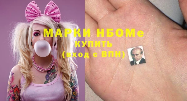 гашик Каменка