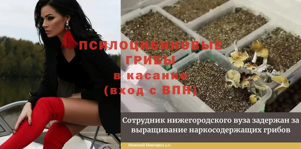 метамфетамин Каменногорск