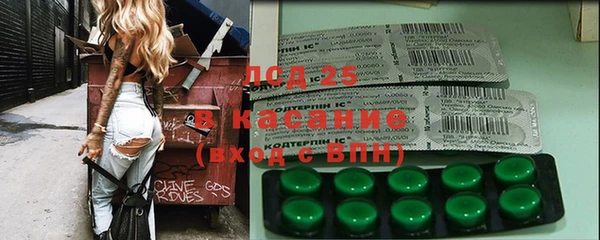 гашик Каменка