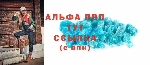 гашик Каменка