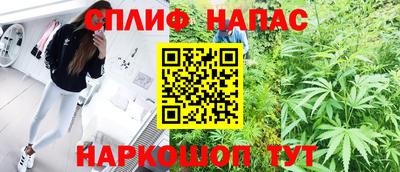 СК Балашиха