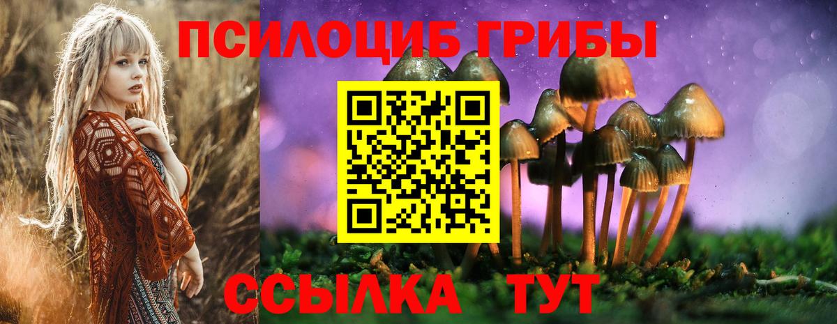 Псилоцибиновые грибы Psilocybine cubensis Реутов