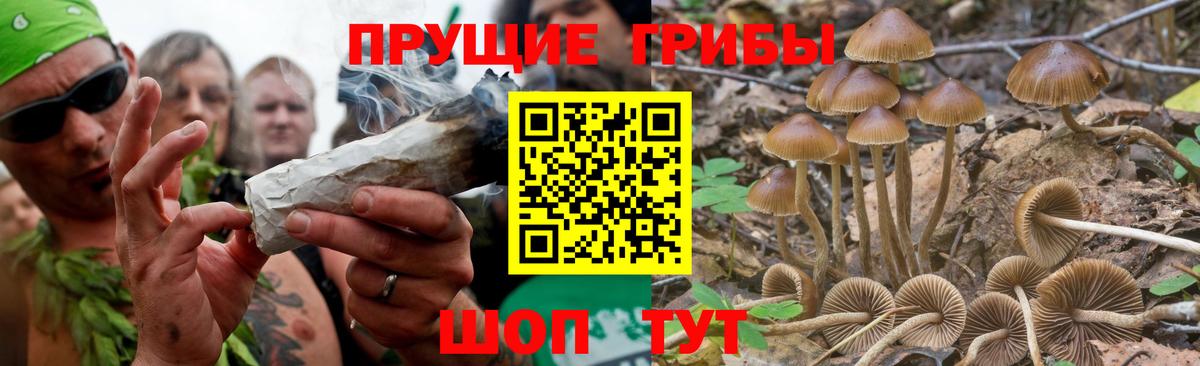 Галлюциногенные грибы MAGIC MUSHROOMS Реутов