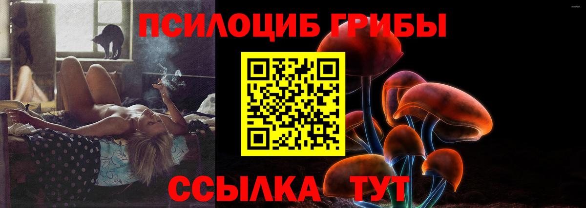 Галлюциногенные грибы прущие грибы  Реутов 